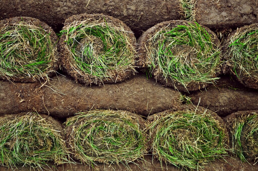 Several rolls of sod, perfect for landscaping or lawn maintenance in Rougemont, are stacked in two rows. The spiraled green and brown grass with soil shows freshly cut turf, ready for your next yard or garden project. - Hutchins Landscaping and Lawn Maintenance Rouguemont, NC