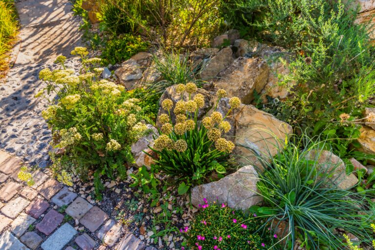A sunlit rock garden in Rougemont features large stones, yellow-green flowering plants, grasses, and small bright pink flowers. The gravel ground and a path of bricks and stones showcase expert landscaping near Durham. - Hutchins Landscaping and Lawn Maintenance Rouguemont, NC